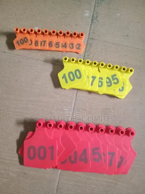 Animal Pig Tags