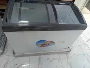 Show Case Freezer Solar 290 Liters