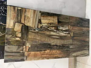Minic Petrified Wood ( India Tiles)