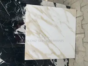 60cm * 60cm Matt Surface