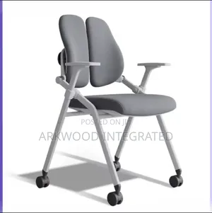 Professional Work Chair