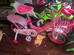 New Kids Bicycle