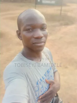 Mr Victor Bamidele