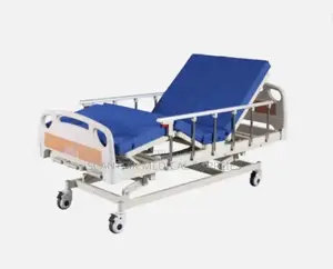 Triple-Function Electric Bed