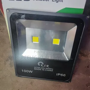 100 Watts Floodlight