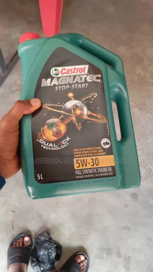 Castrol Magnet 5w30