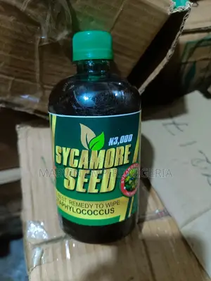 Sycamore Seed Drink a Remedy for Staphylococcus, Infections