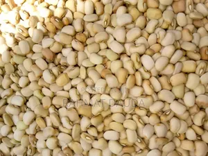 Grade One Honey Beans
