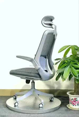 Ergonomic Manager Chair