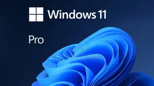 Windows 10/11 Pro Home Licenses