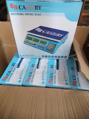 Electronic Digital Scale