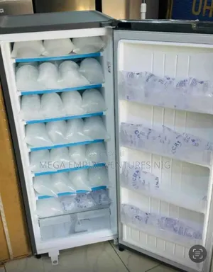 Lg Standing Freezer