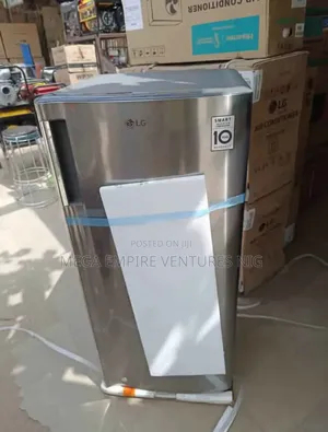 Lg Standing Freezer