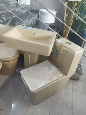 High Quality Water Closet With Quality Flushing Mechanism