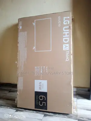 Lg 65 Inches Future Entertainment Tv