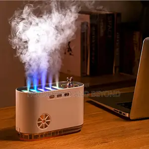 Pickup Fountain Humidifier Diffuser With Sound Function