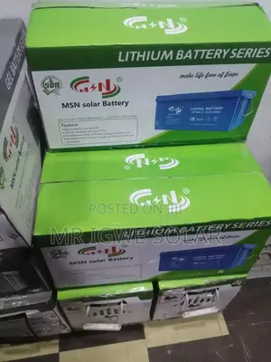 MSN Lithium Iron Battery