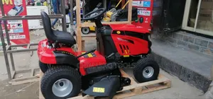 Riding on Lawn Mower Engine