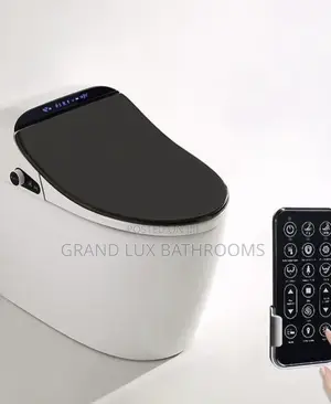 Automatic Sensor Remote Control Wc