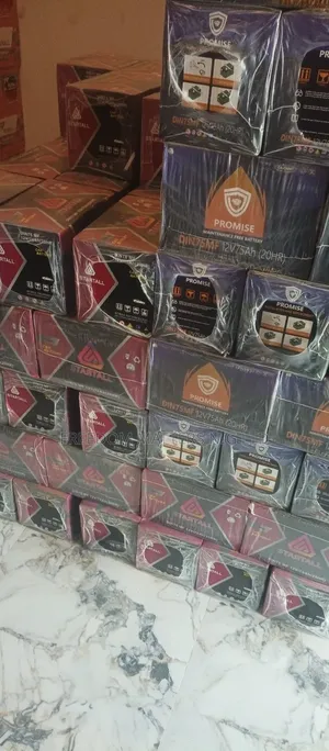 Original Car Battery Promise
