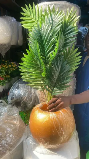 Beautiful Artificial Palm Plant, Vase White Stones