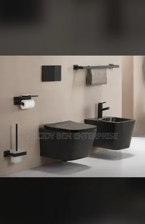 Square Black Conceal Wc/ Bidet