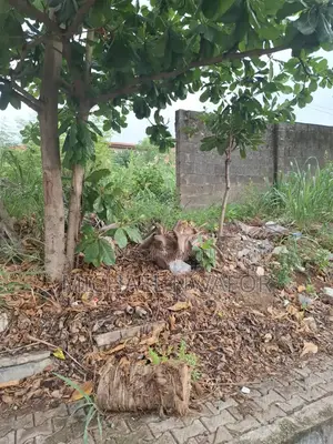 Bay Land for Sale