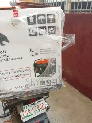 Electric Starter With Recoil Backup