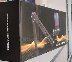 Professional Microphone