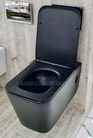 Luxury Black Wc