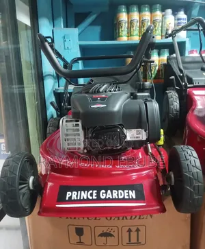 Prince Garden Lawn Mower 4hp