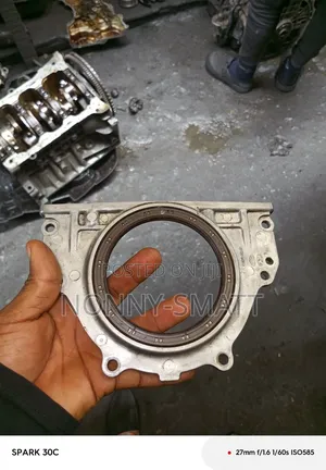 Cran Shaft Oil Seal for Hyundai Santafie V6 2014 3.3l