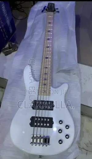 Alvarez 5-string Bass Guitar