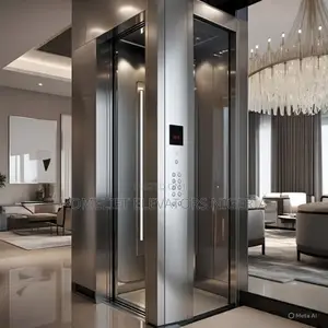 12m 8 Passenger Home Elevator