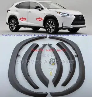 Fender and Door Chrome Nx250 Nx200t Nx300h Any Side Dey