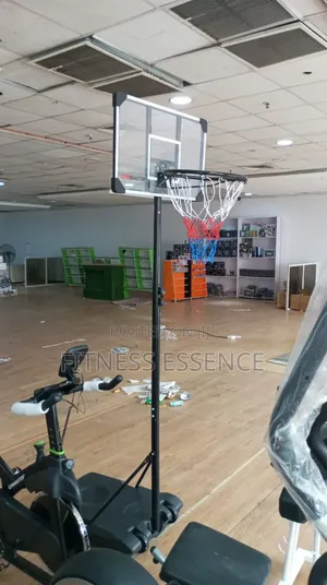 Standard Basketball Stand With Rim and Ball