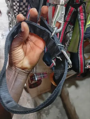 Dog Collars and Leashes