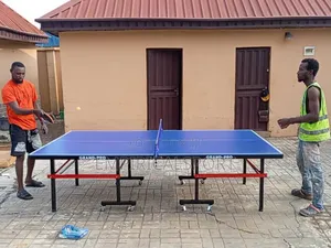 Outdoor Table Tennis