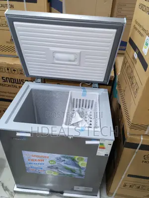 Snowsea Bd-178 Freezer - 130l Capacity for Home or Shop Use