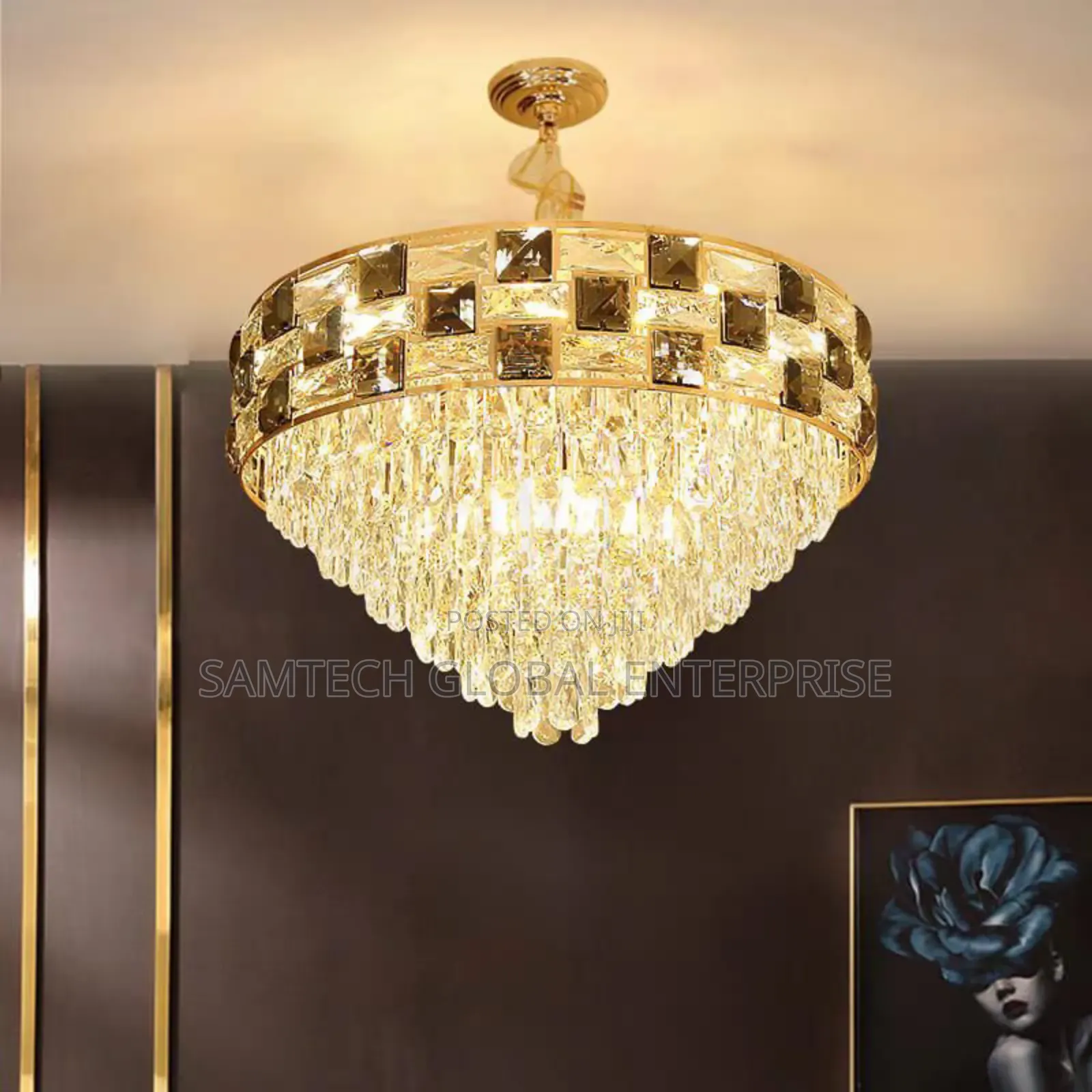 Luxury Chandelier Light