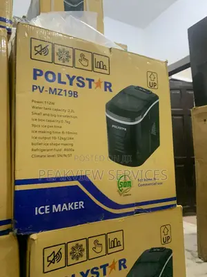 Make Entertaining Easy With Polystar Ice Cube Maker
