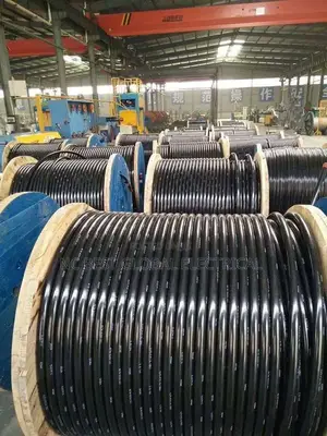 6mm 2core Flexible