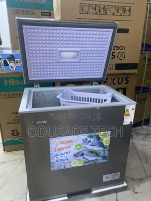 Snowsea Bd-208 170l Freezer – Low Energy Consumption