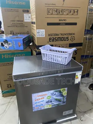 Buy Snowsea Bd-208 Chest Freezer 170l – Fast Delivery