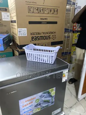 Snowsea Bd-208 – 170l Food Storage Masterpiece