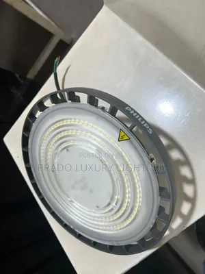 Philips 100 Watts Floodlight