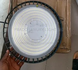 Philips 100 Watts Floodlight