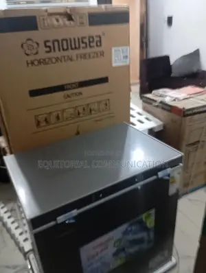 Snowsea Bd-208: The Freezer That Never Lets You Down