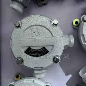 2 Way Junction Box