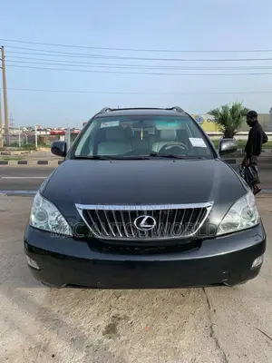 Lexus RX 2009 Gray
